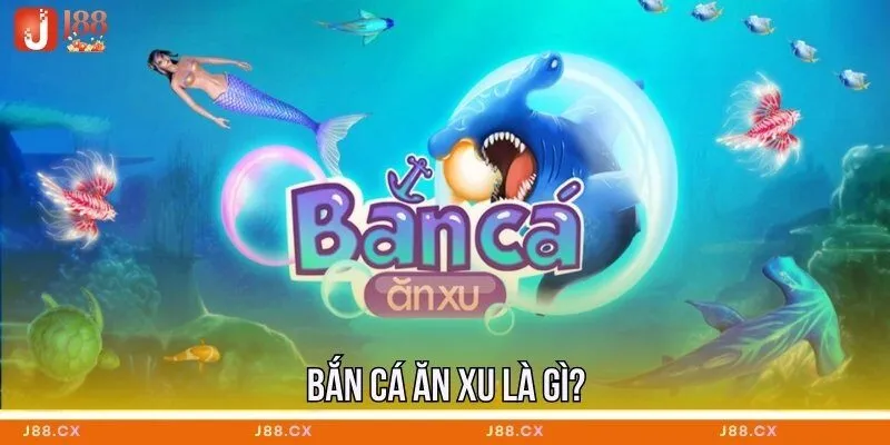 ban-ca-an-xu-la-gi