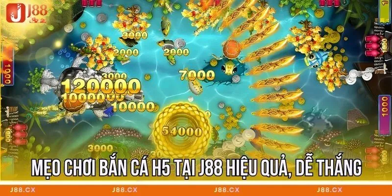 meo-choi-ban-ca-h5-tai-j88-hieu-qua-de-thang